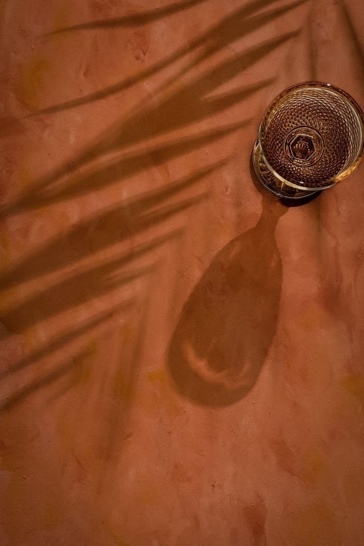 Palm shadows on a terracotta wall beside a cut glass